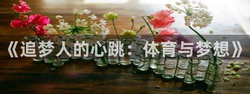 杏鑫2体育登录入口