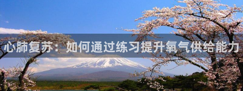 杏鑫3登陆