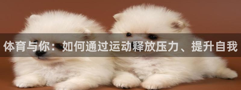 杏鑫注册