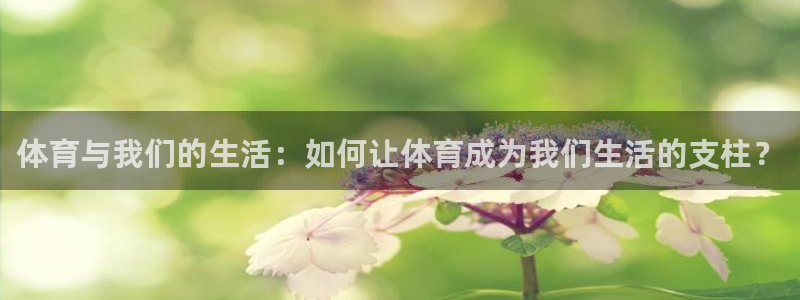 杏鑫体育注册