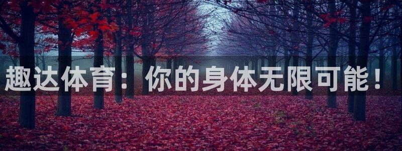 杏鑫体育f开号
