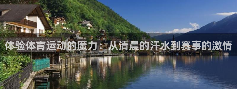 杏鑫3官网
