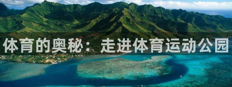 杏鑫体育2官网入口