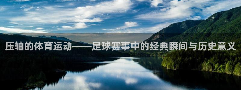 杏鑫零能源集团