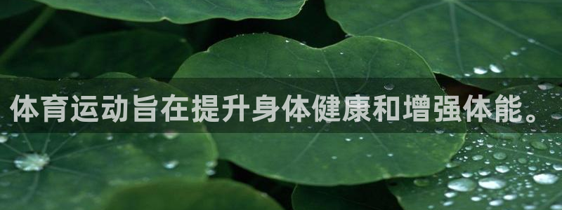 www.杏鑫体育.com