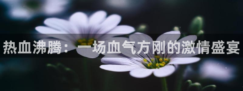 杏鑫5招商
