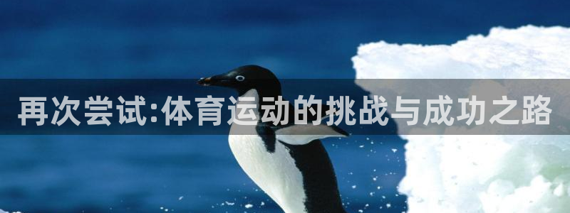 杏鑫2体育