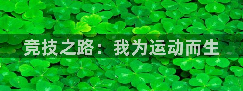 杏鑫2官网