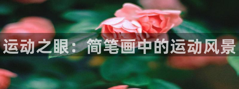 杏鑫平台开户链接