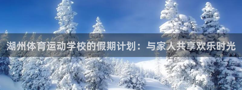 杏鑫代理