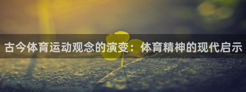 杏鑫体育3