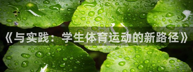 杏鑫体育网页版入口