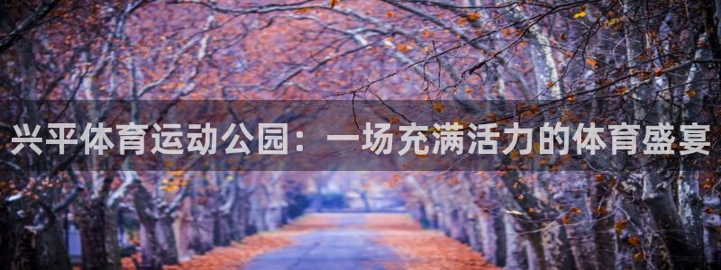 杏鑫体育在线注册