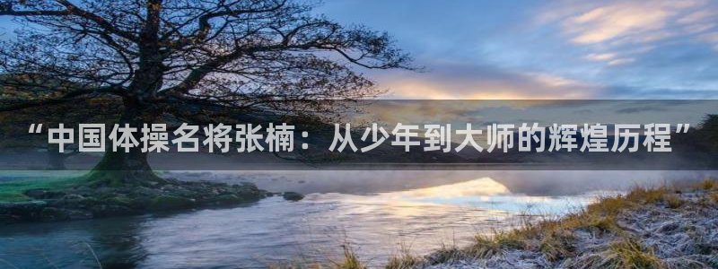 成都杏鑫电子有限公司