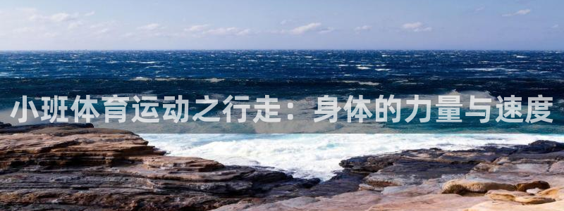 上海杏鑫汽车电子有限公司