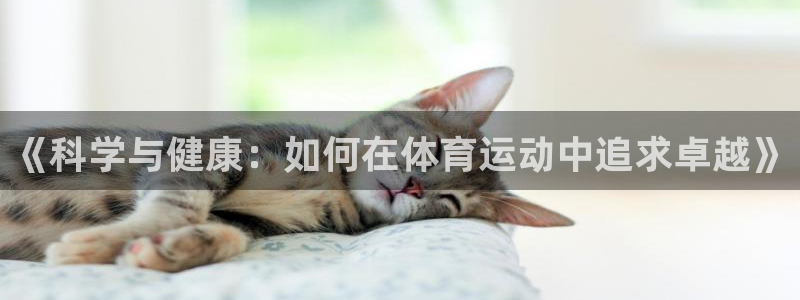 杏鑫体育凯捷代理注册