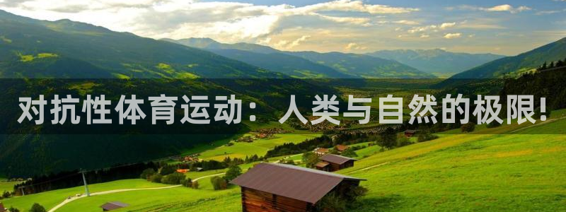 杏鑫体育2官网入口