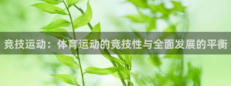 德国杏鑫集团